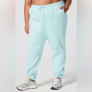 Fabletics Cozy Fleece Go-To Sweatpant NWT 2x